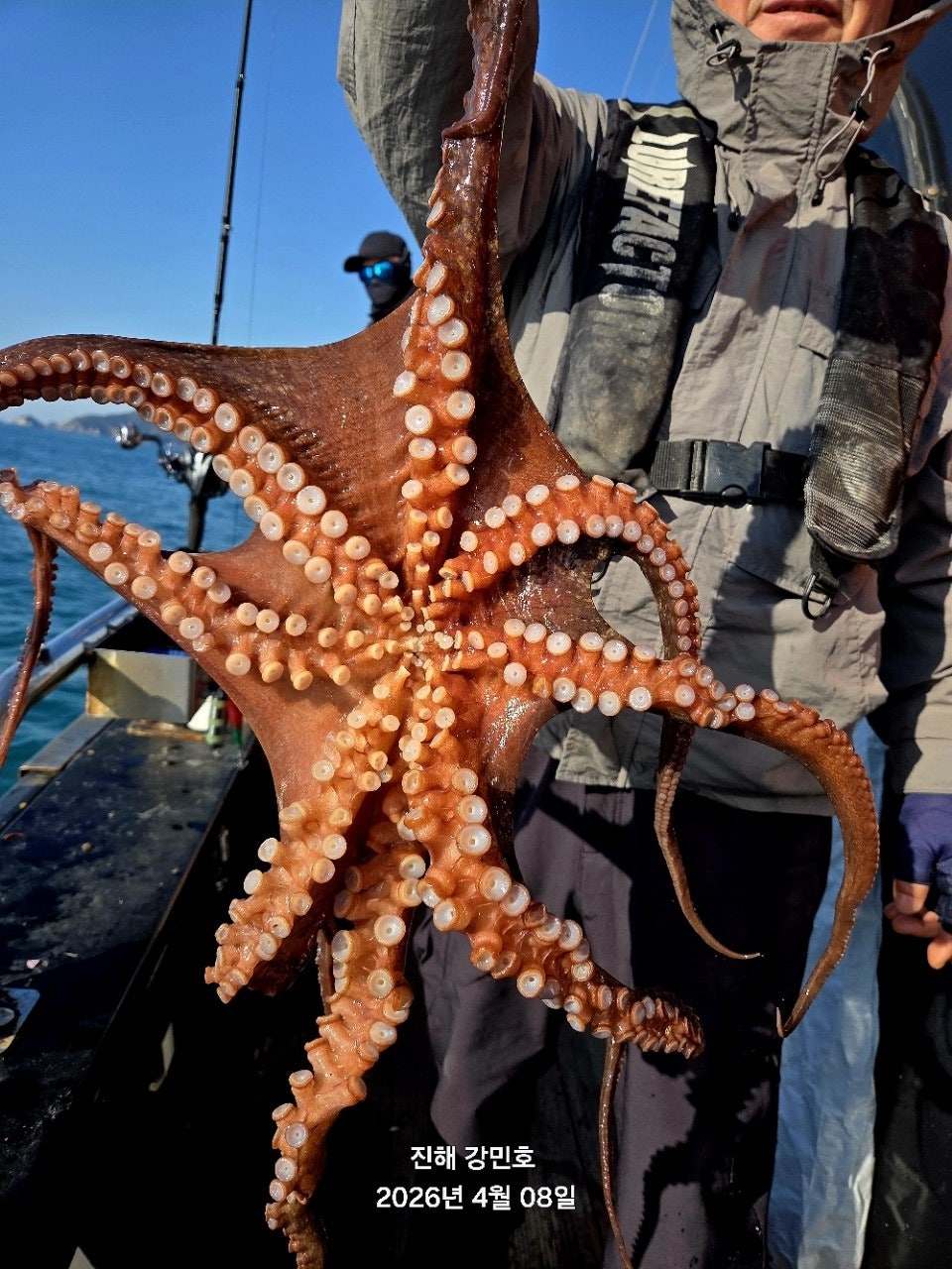 ����ڰ� �ø� �̹���