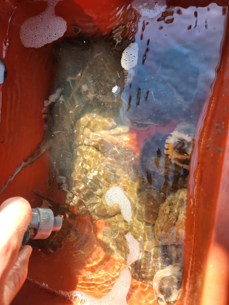 사용자가 올린 이미지