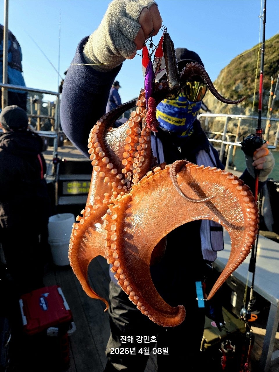 ����ڰ� �ø� �̹���