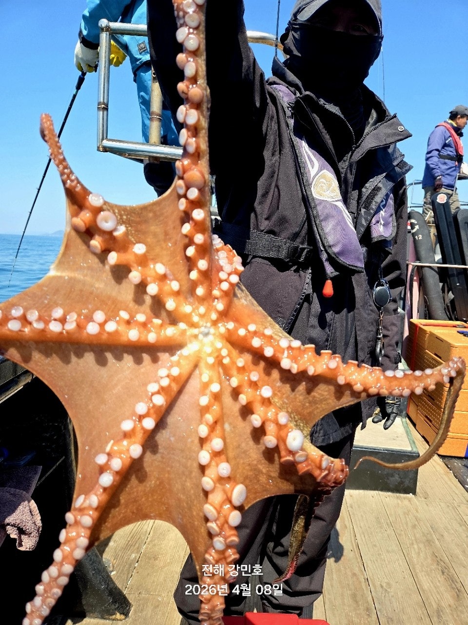 ����ڰ� �ø� �̹���