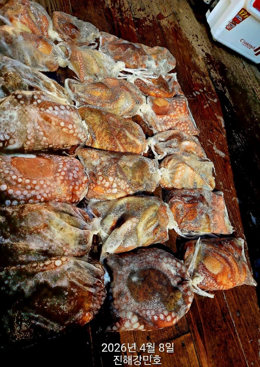 ����ڰ� �ø� �̹���