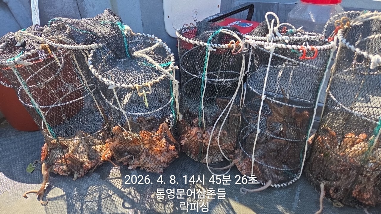 ����ڰ� �ø� �̹���