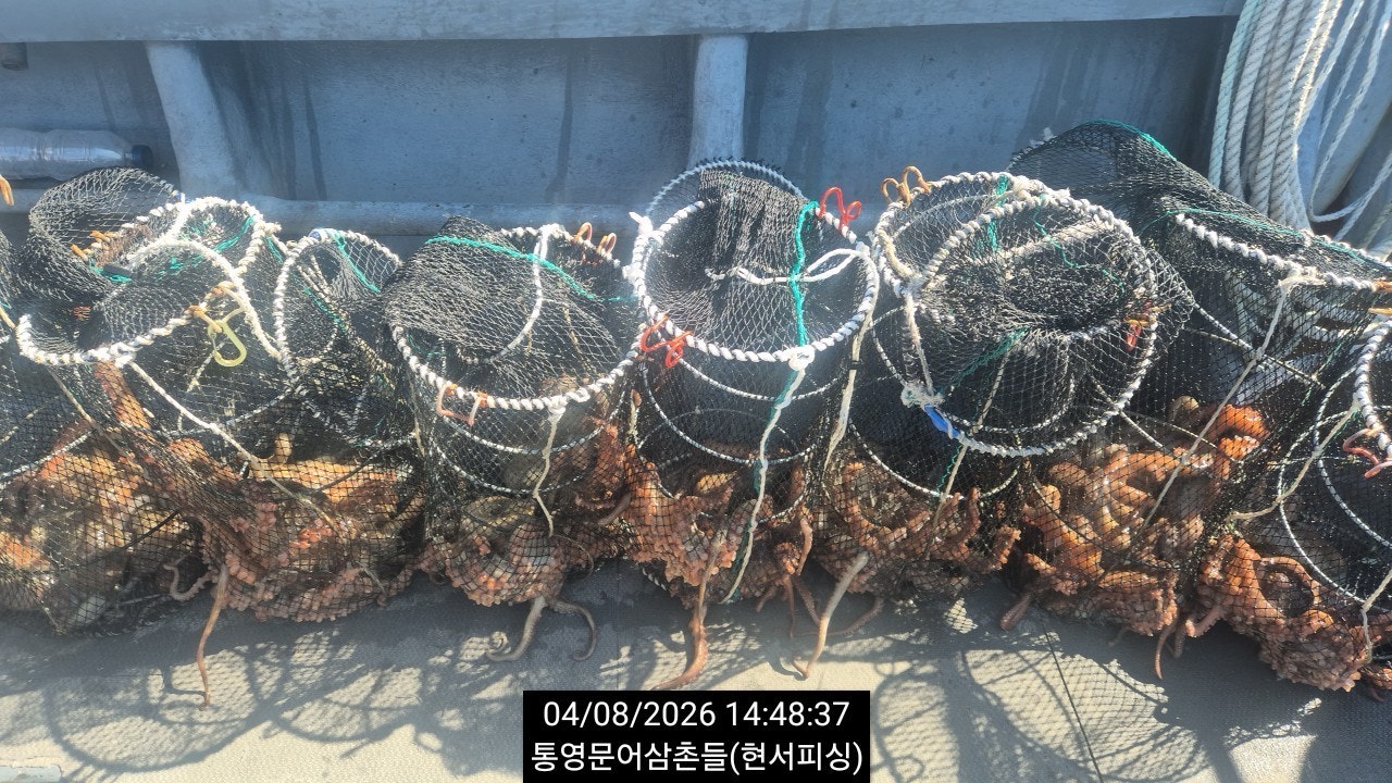 ����ڰ� �ø� �̹���