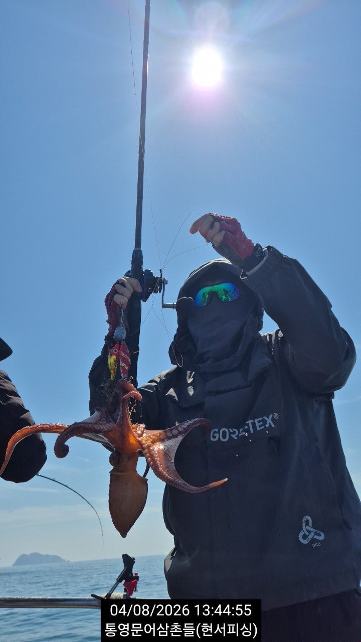 ����ڰ� �ø� �̹���