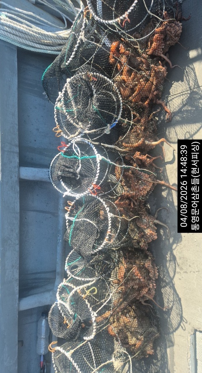 ����ڰ� �ø� �̹���