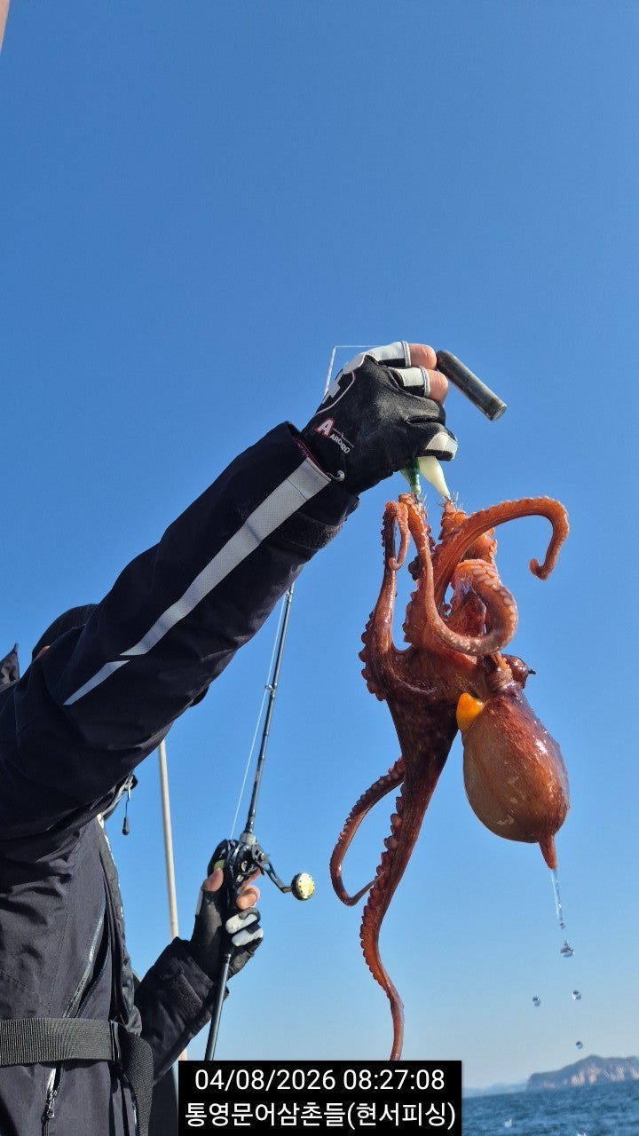 ����ڰ� �ø� �̹���