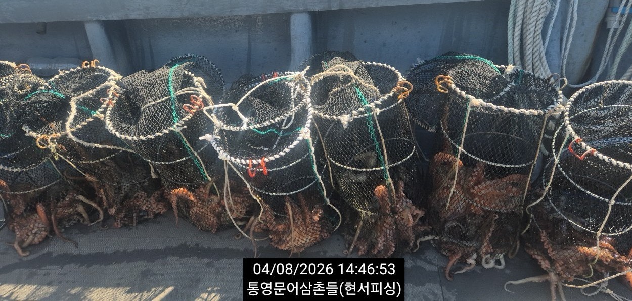 ����ڰ� �ø� �̹���