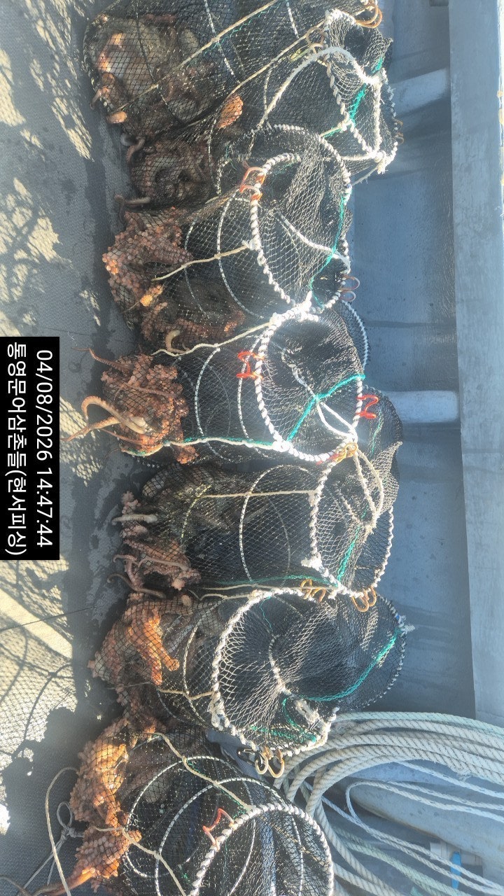 ����ڰ� �ø� �̹���