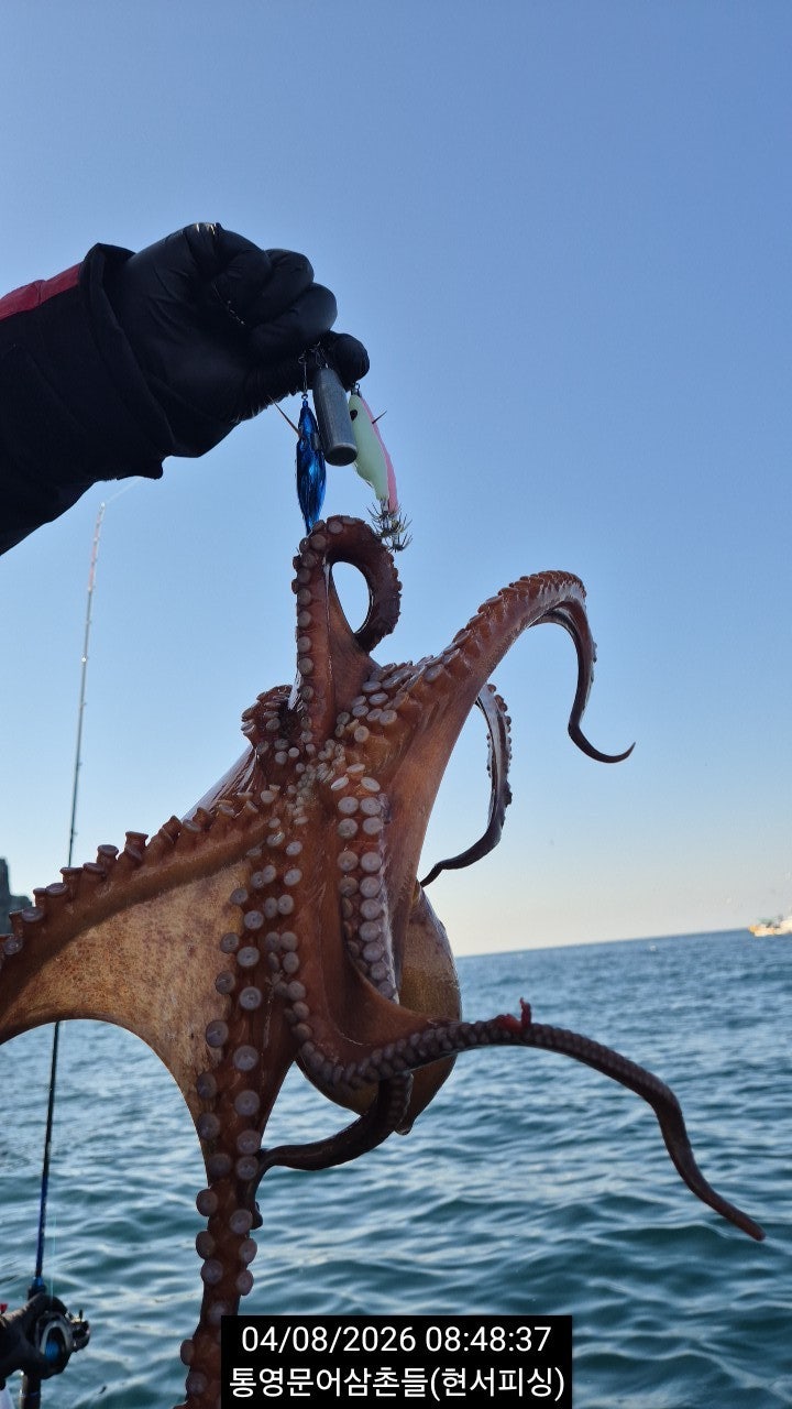 ����ڰ� �ø� �̹���