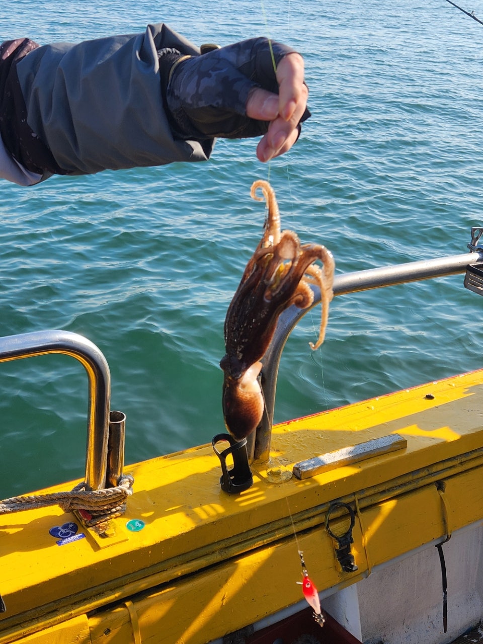 사용자가 올린 이미지