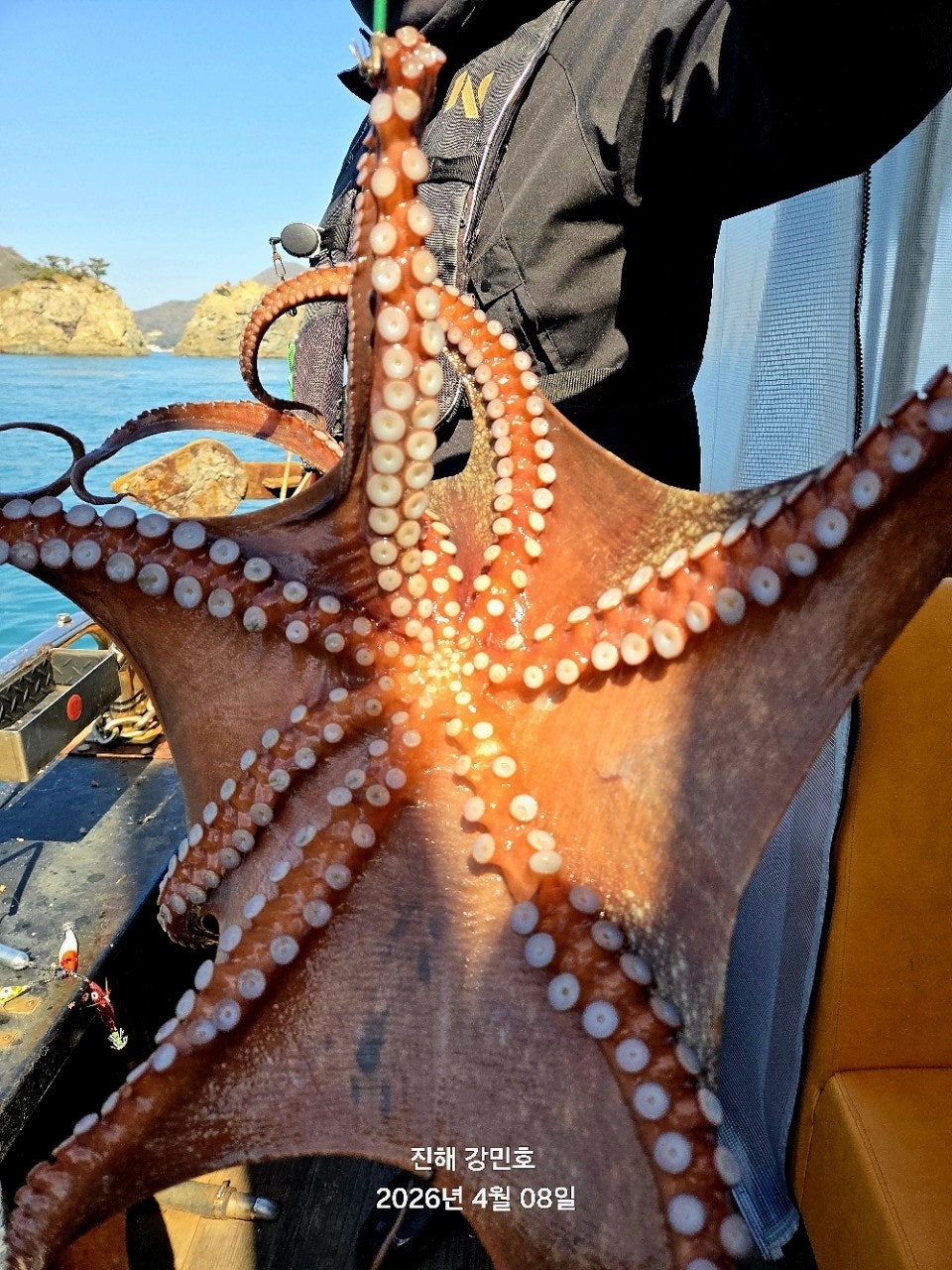 ����ڰ� �ø� �̹���