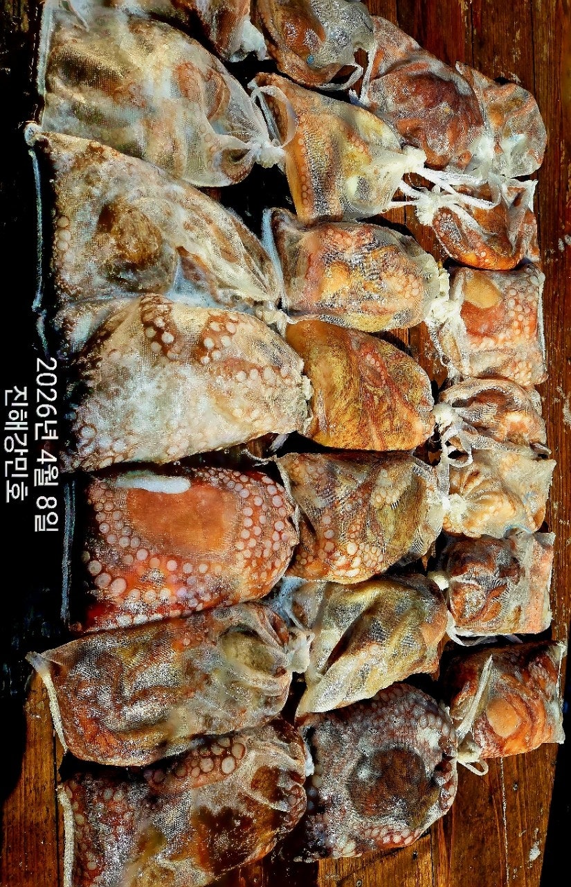 ����ڰ� �ø� �̹���