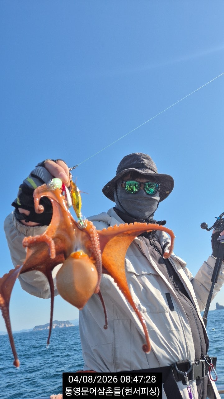 ����ڰ� �ø� �̹���