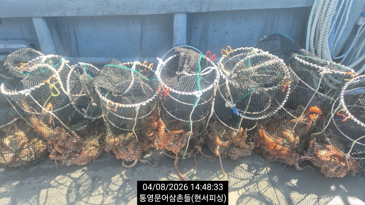 ����ڰ� �ø� �̹���