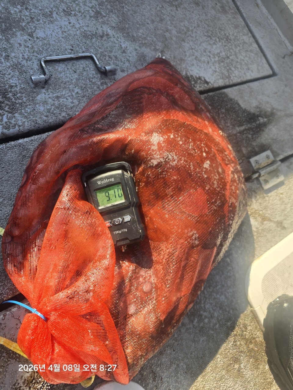 사용자가 올린 이미지