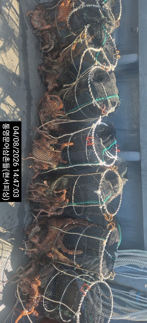 ����ڰ� �ø� �̹���