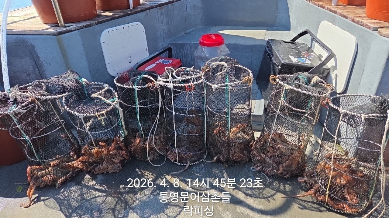 ����ڰ� �ø� �̹���