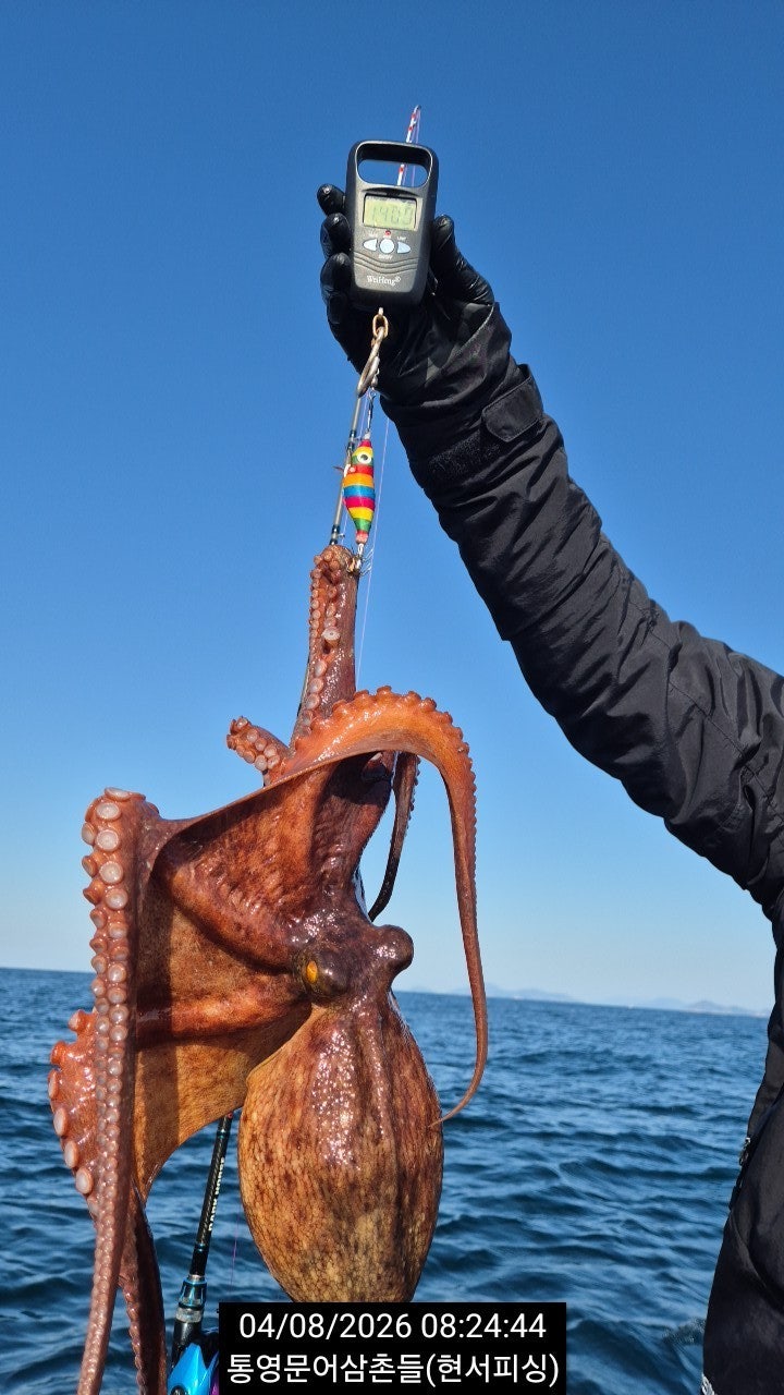 ����ڰ� �ø� �̹���