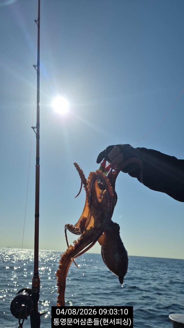 ����ڰ� �ø� �̹���