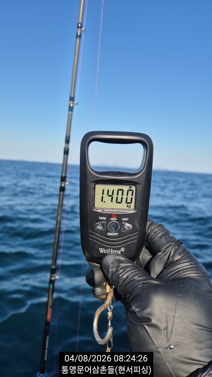 ����ڰ� �ø� �̹���