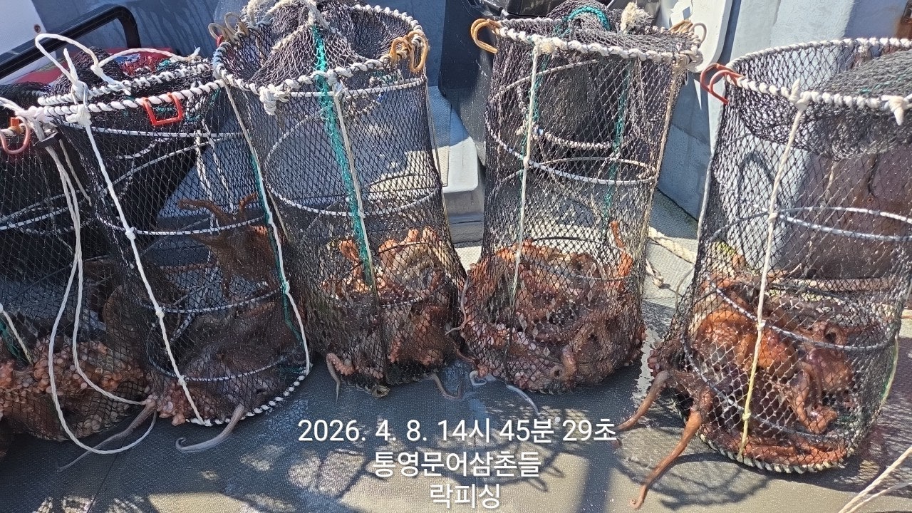 ����ڰ� �ø� �̹���