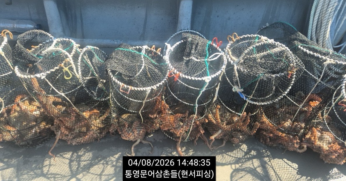 ����ڰ� �ø� �̹���