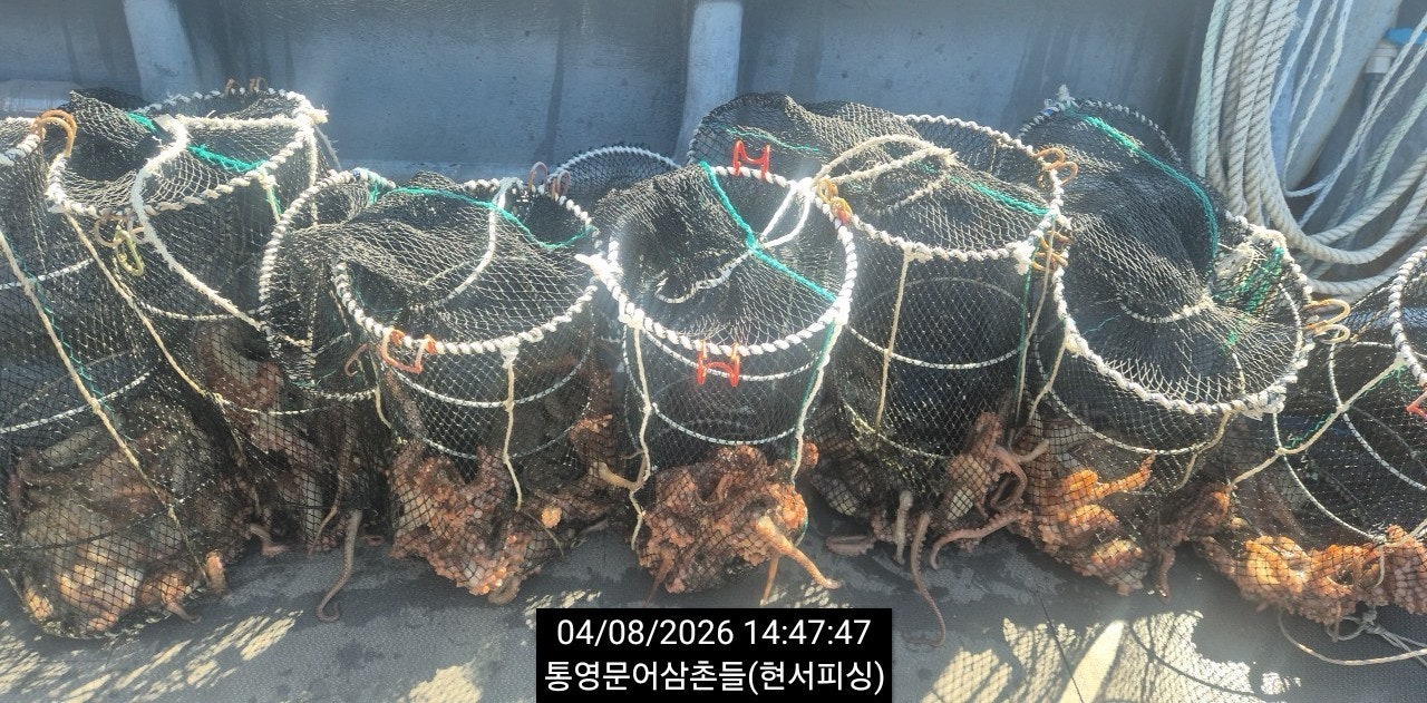 ����ڰ� �ø� �̹���