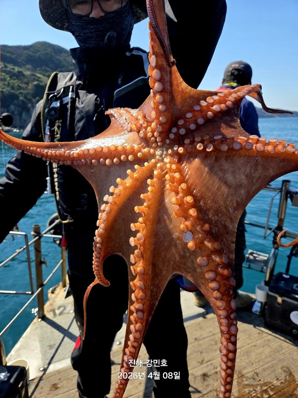 ����ڰ� �ø� �̹���