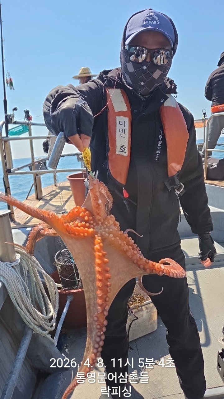 ����ڰ� �ø� �̹���