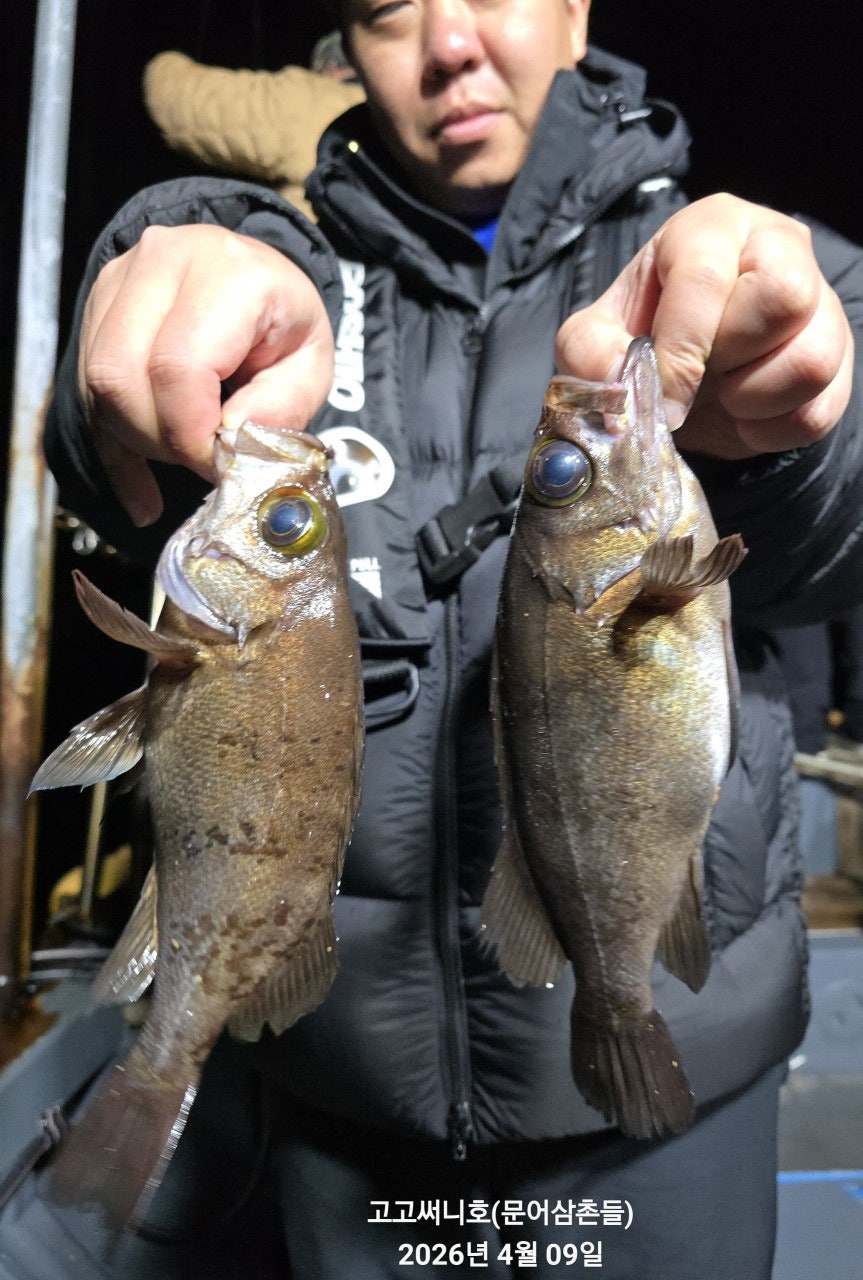 ����ڰ� �ø� �̹���