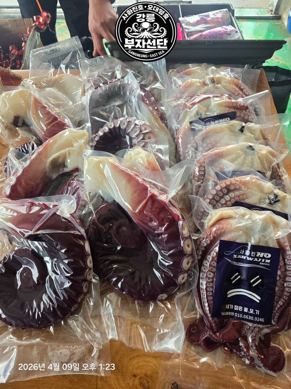 사용자가 올린 이미지