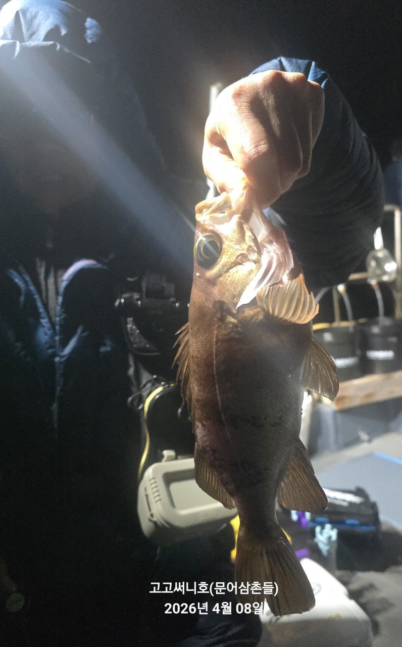 ����ڰ� �ø� �̹���