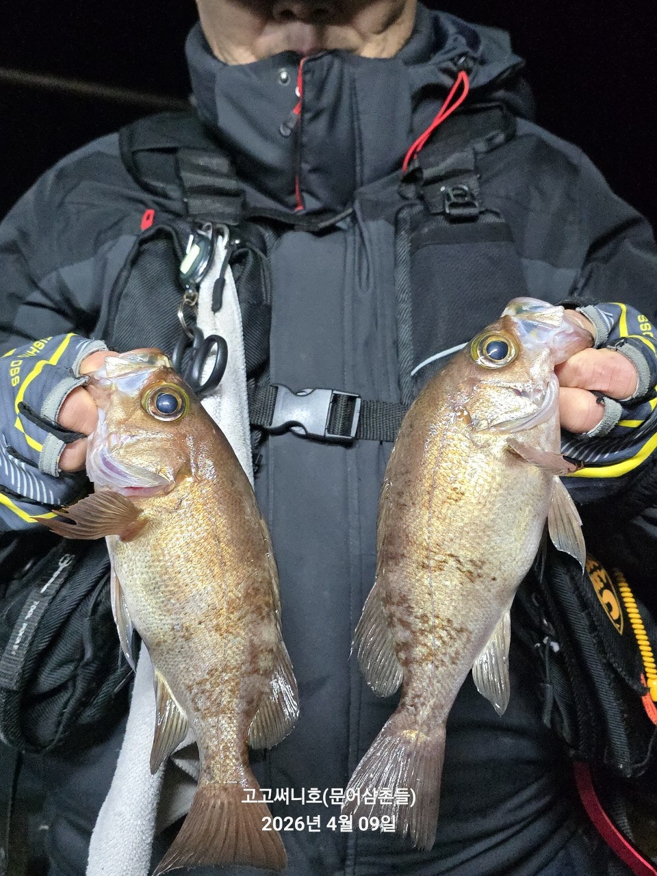 ����ڰ� �ø� �̹���