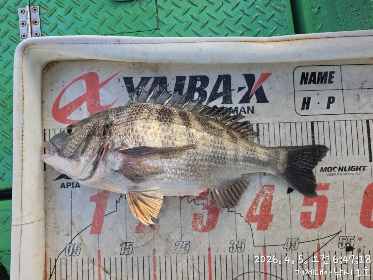 ����ڰ� �ø� �̹���