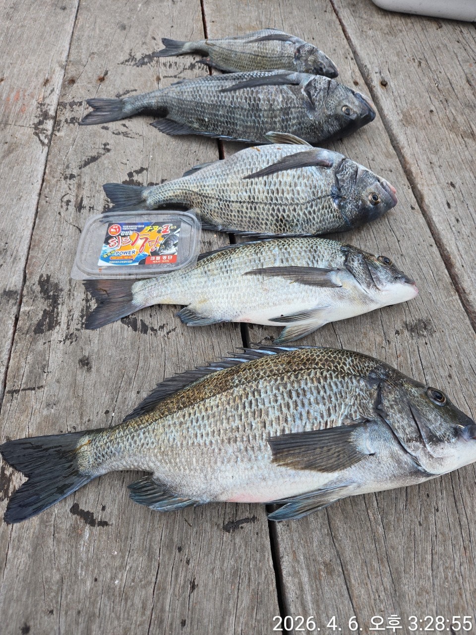 ����ڰ� �ø� �̹���