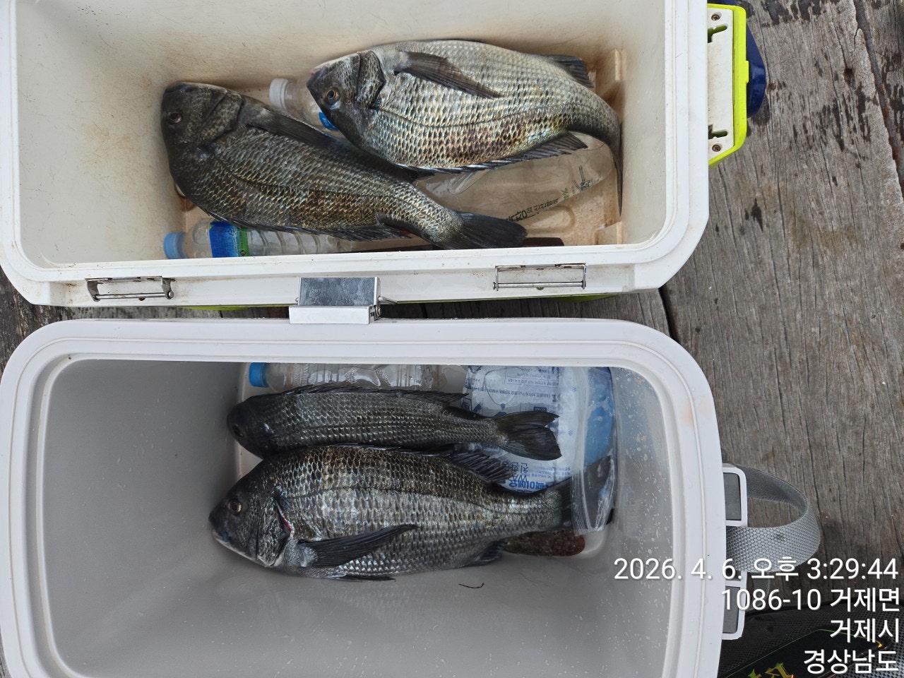 ����ڰ� �ø� �̹���