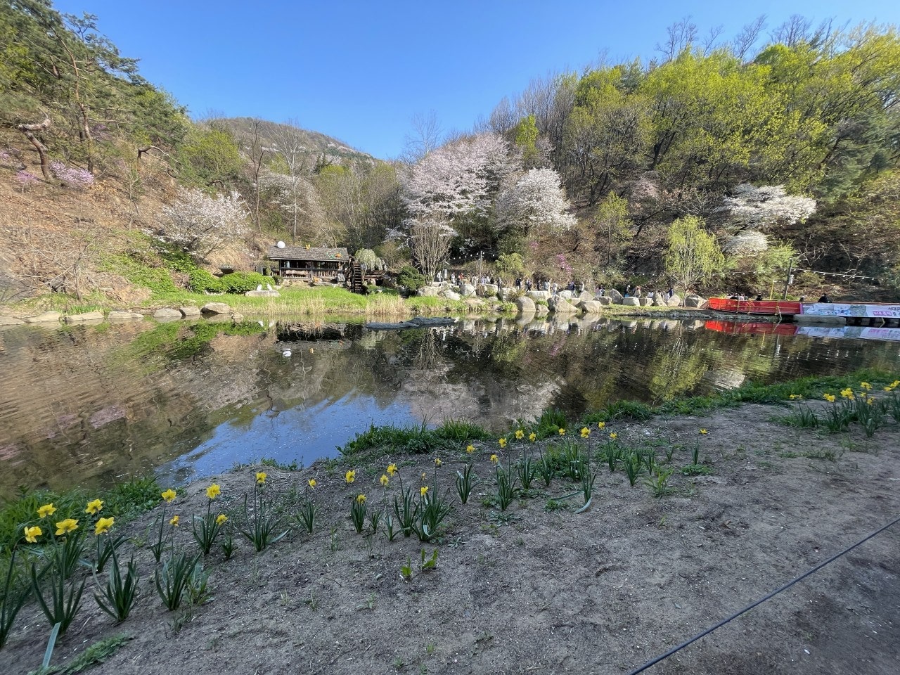 사용자가 올린 이미지