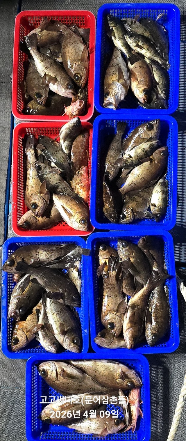 ����ڰ� �ø� �̹���