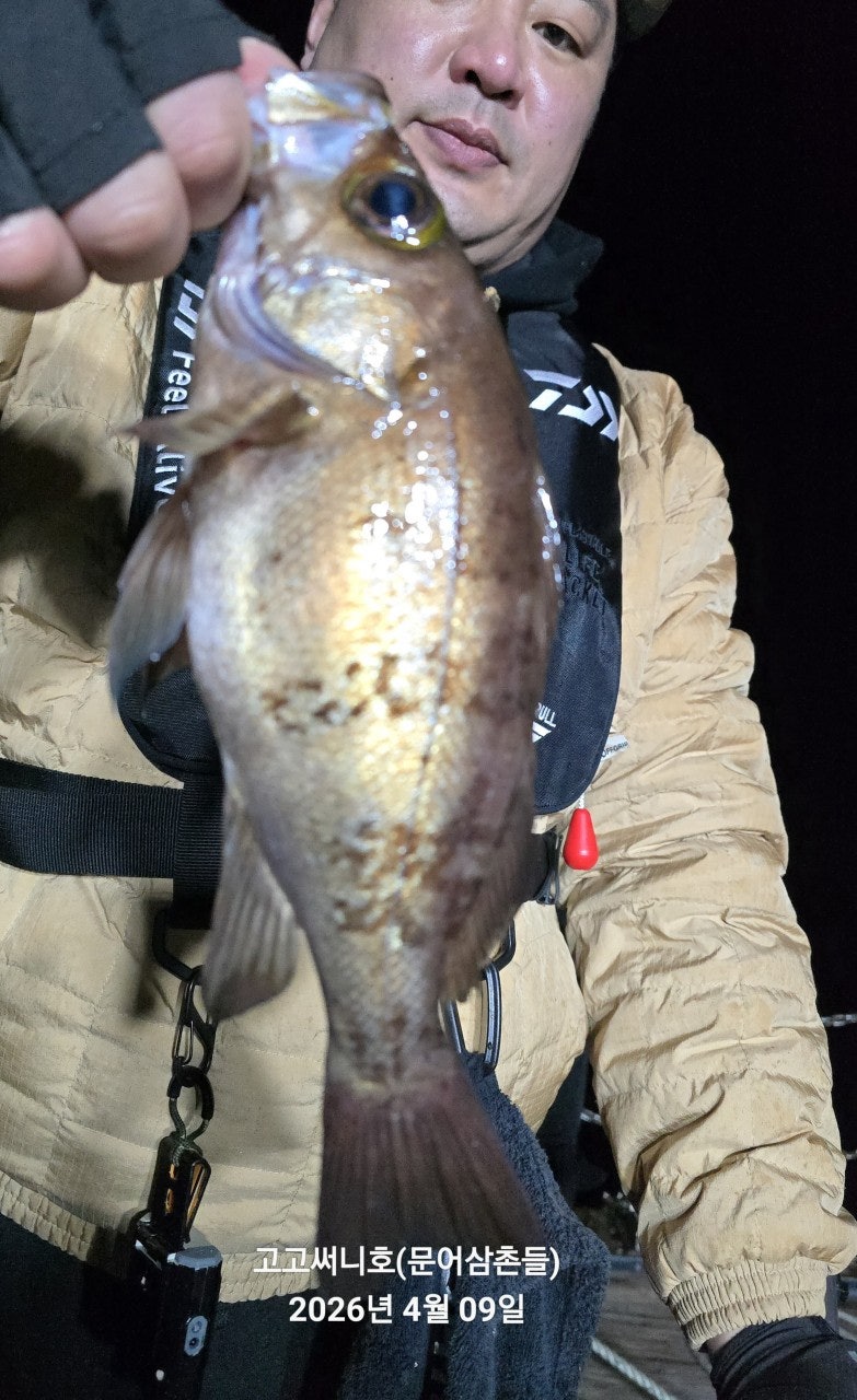 ����ڰ� �ø� �̹���