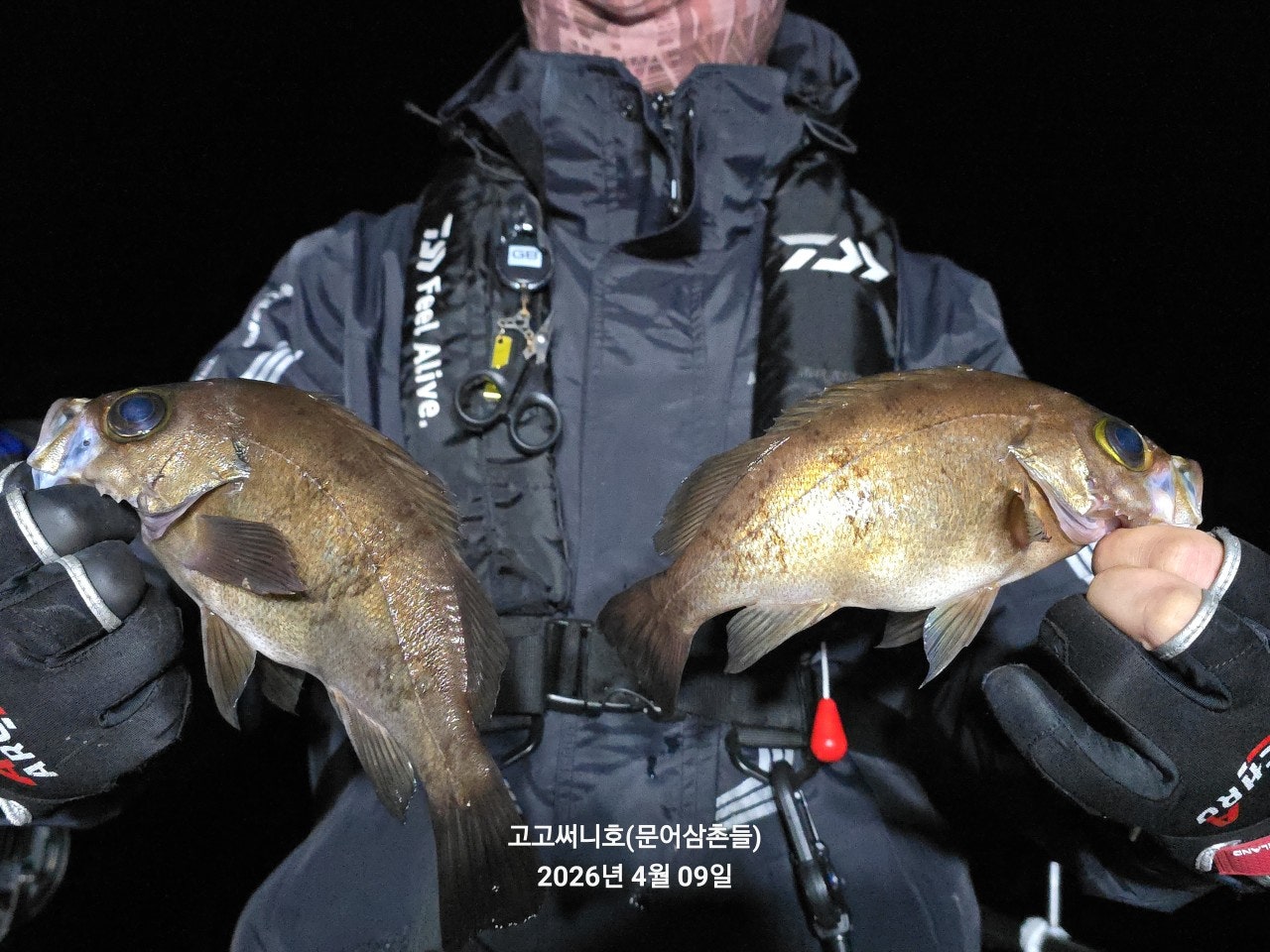 ����ڰ� �ø� �̹���