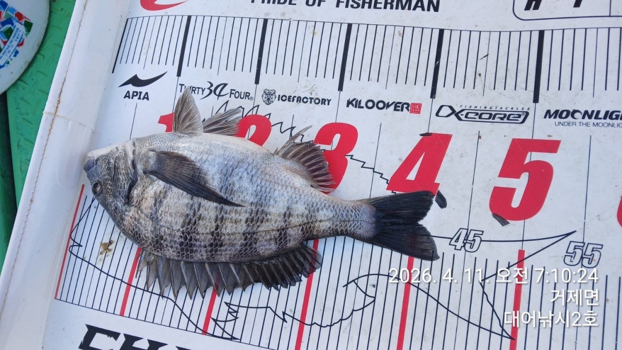 ����ڰ� �ø� �̹���