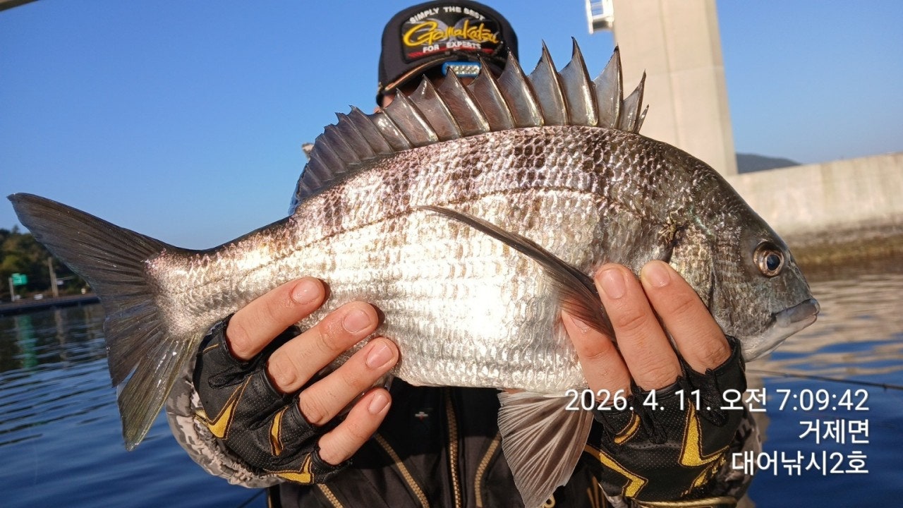 ����ڰ� �ø� �̹���