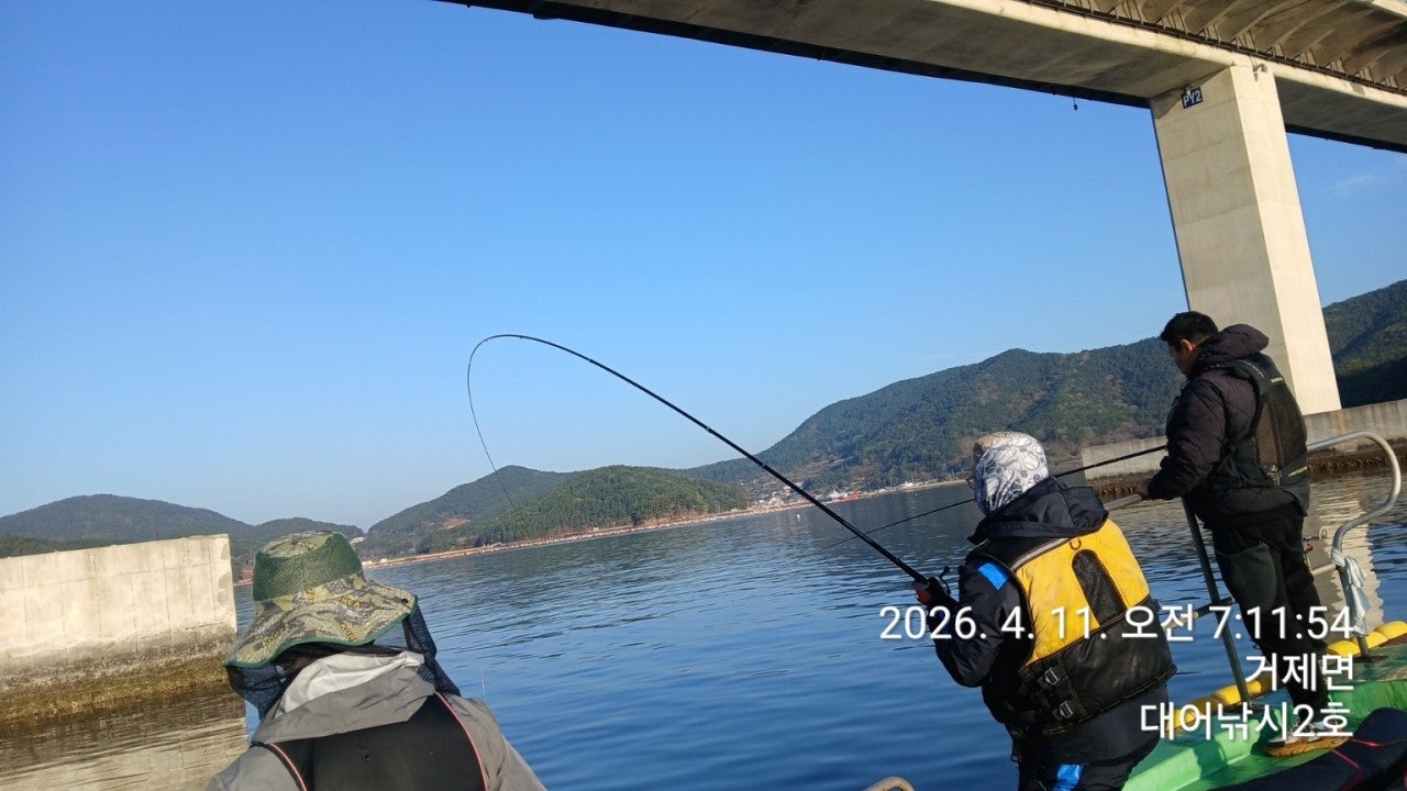 ����ڰ� �ø� �̹���