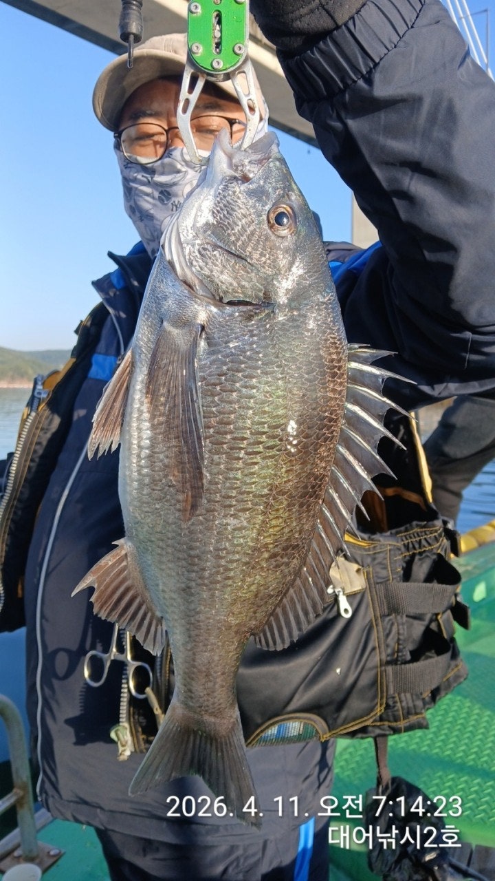 ����ڰ� �ø� �̹���