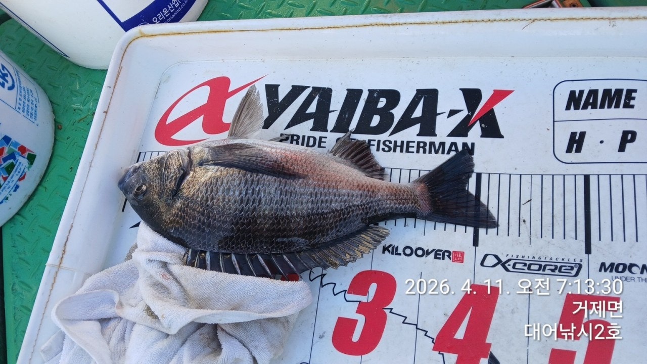 ����ڰ� �ø� �̹���