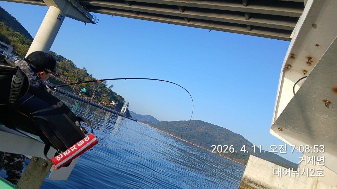 ����ڰ� �ø� �̹���