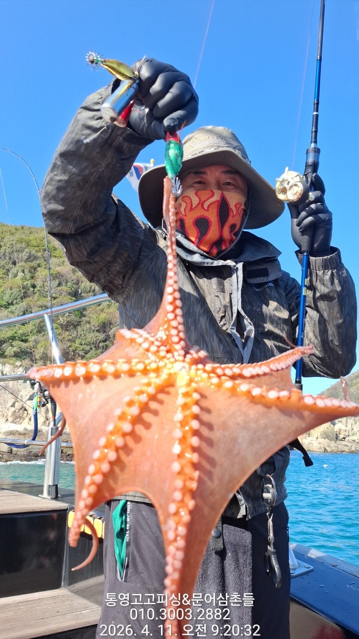 ����ڰ� �ø� �̹���