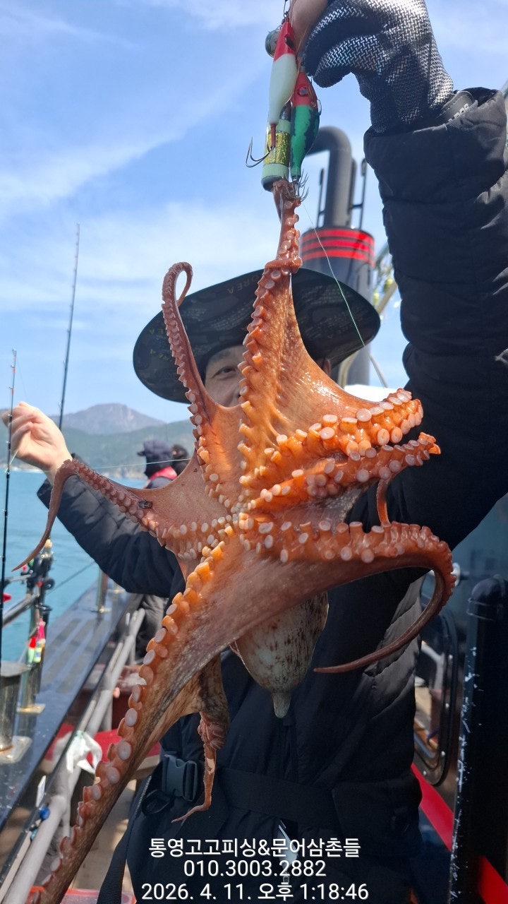 ����ڰ� �ø� �̹���