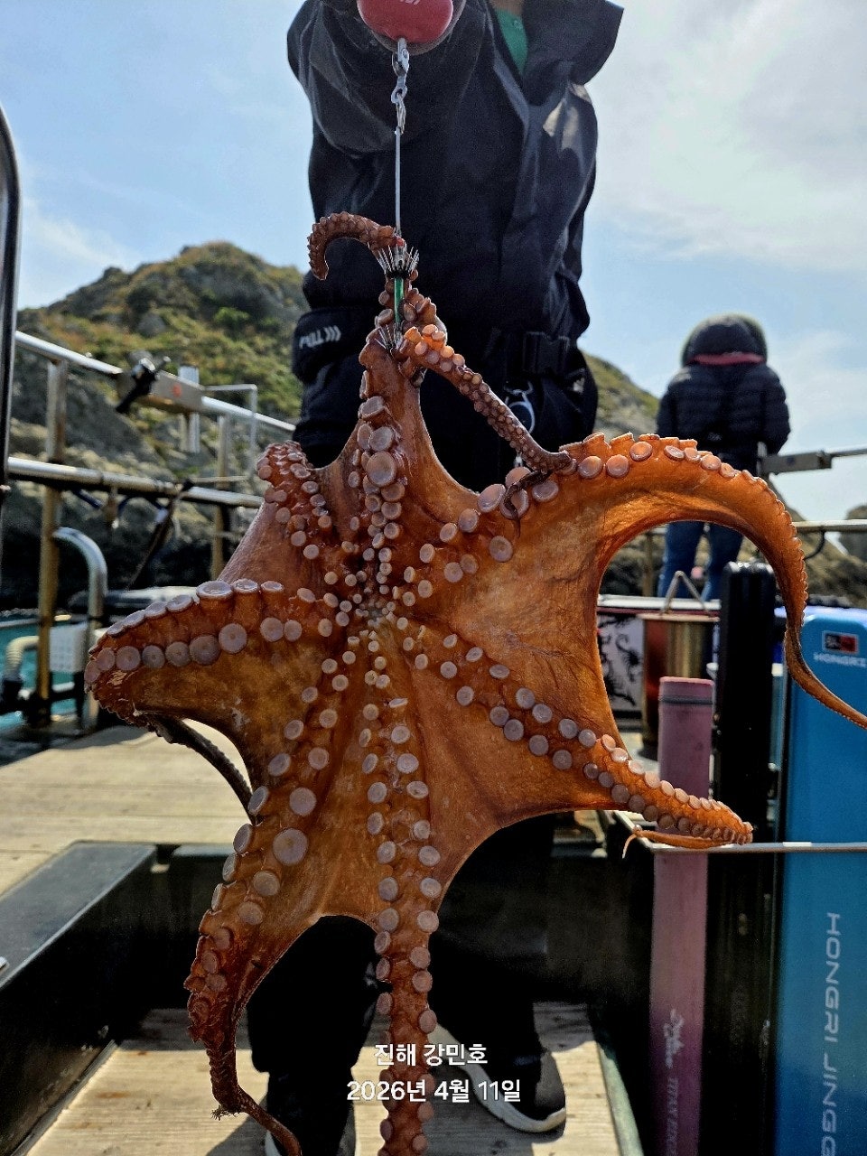 ����ڰ� �ø� �̹���