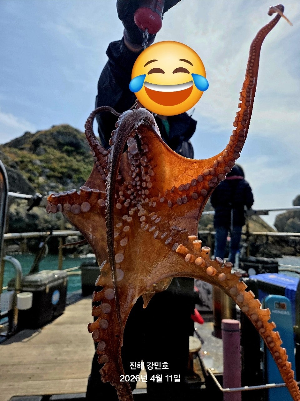 ����ڰ� �ø� �̹���